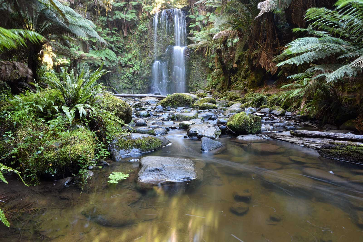 beauchamp-falls-otways